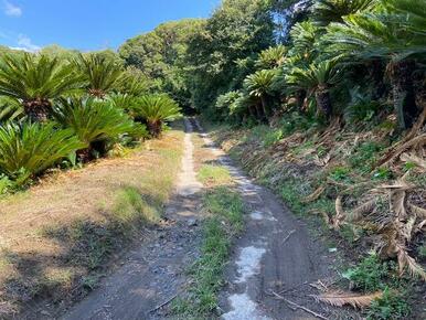 ■現地までの全面道路