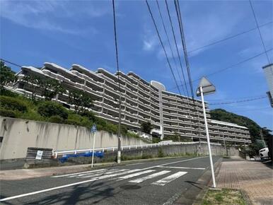 緑豊かでのどかな住環境です