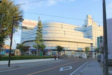 東武ストア 土呂マイン