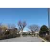 公園