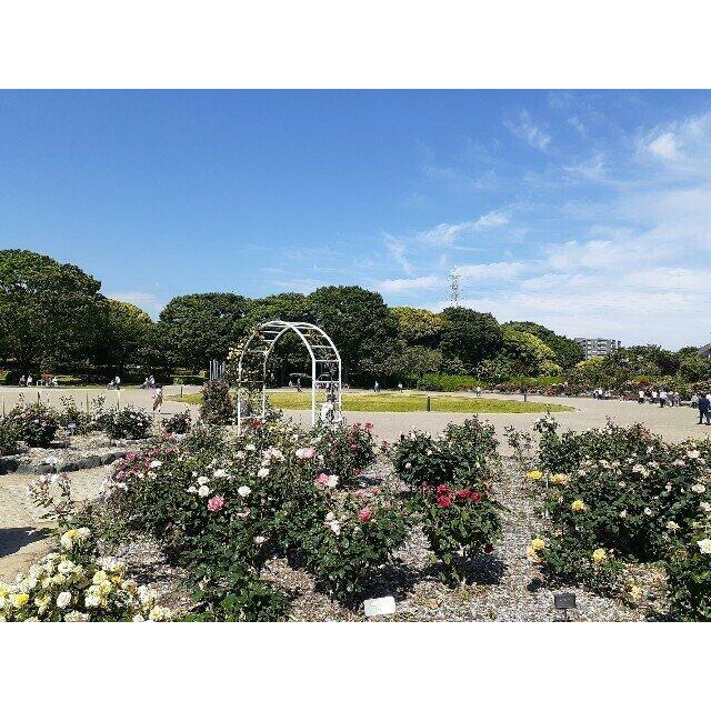 富士市中央公園まで1000m