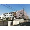 小学校