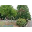 公園