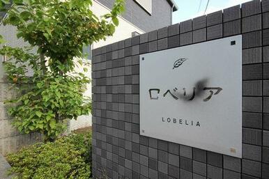 敷地内には植栽が植えてあります。