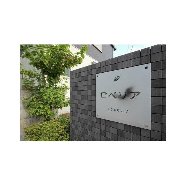 敷地内には植栽が植えてあります。