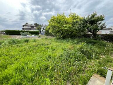 住宅の裏側（西側）にはお庭や畑に使えるスペースがあります。