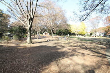 和田掘公園