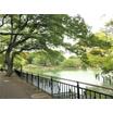 公園