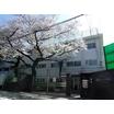 小学校
