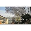 小学校