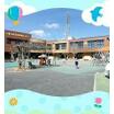幼稚園、保育園