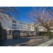 中学校