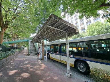 中野駅・渋谷駅方面バス停