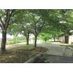 公園