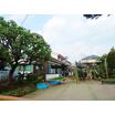幼稚園、保育園