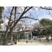 公園