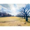 公園