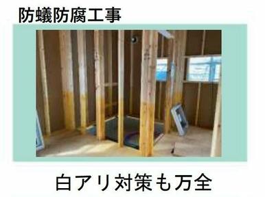 壁や壁面など床から約１ｍの範囲にはシロアリに対する防蟻効果の高い薬剤を塗布しております