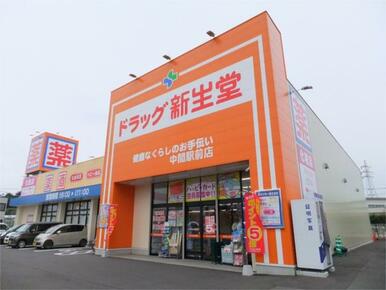 ﾄﾞﾗｯｸﾞ新生堂 中間中尾店
