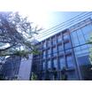 大学