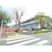 大学