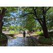 公園