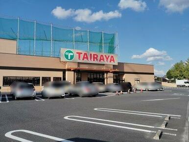 TAIRAYA幸手店