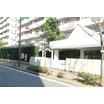 幼稚園、保育園