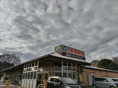 ＴＡＩＲＡＹＡ川鶴店