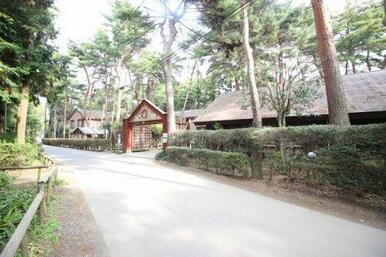 豊里ゆかりの森