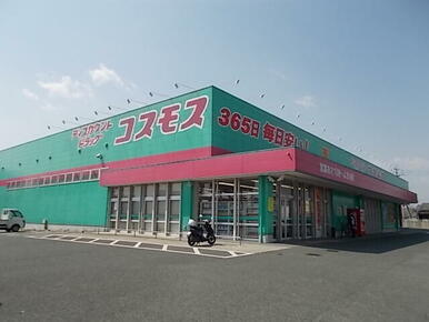 コスモス