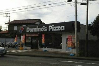 Domino’s Pizza