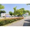 幼稚園、保育園