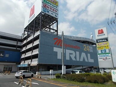 トライアル