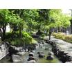 公園