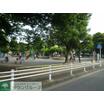 公園