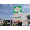 ショッピング施設