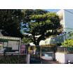 幼稚園、保育園