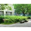幼稚園、保育園