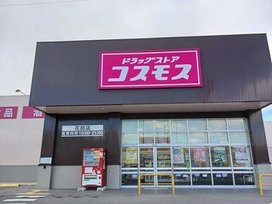 コスモス