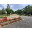 公園