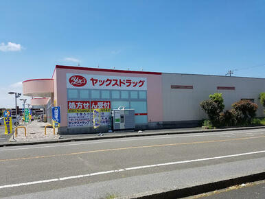 ヤックスドラッグ市原辰巳台店