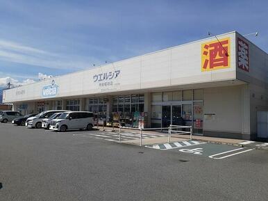 ウエルシア甲府昭和店