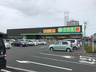 杏林堂薬局 有玉南町店