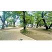 公園