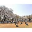 公園