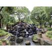 公園