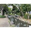 公園