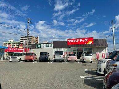 ツルハドラッグ 南国店