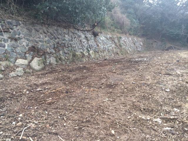 物件画像 北九州市小倉北区 妙見町 (城野駅) 家庭菜園用地